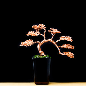 Copper Wire Bonsai Tree in Cascade Style and a Ceramic Bonsai Pot