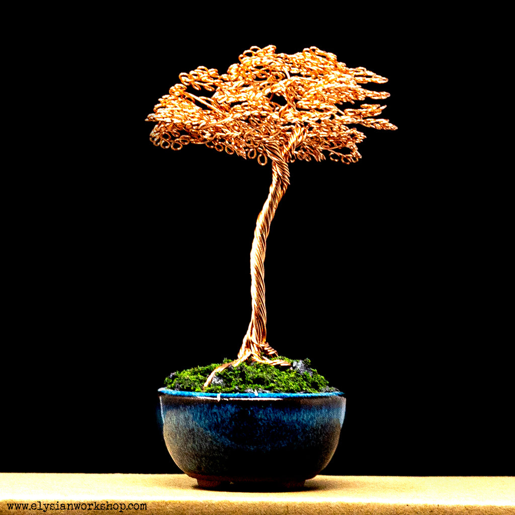 Copper Wire Tree Sculpture in a Ceramic Bonsai Pot