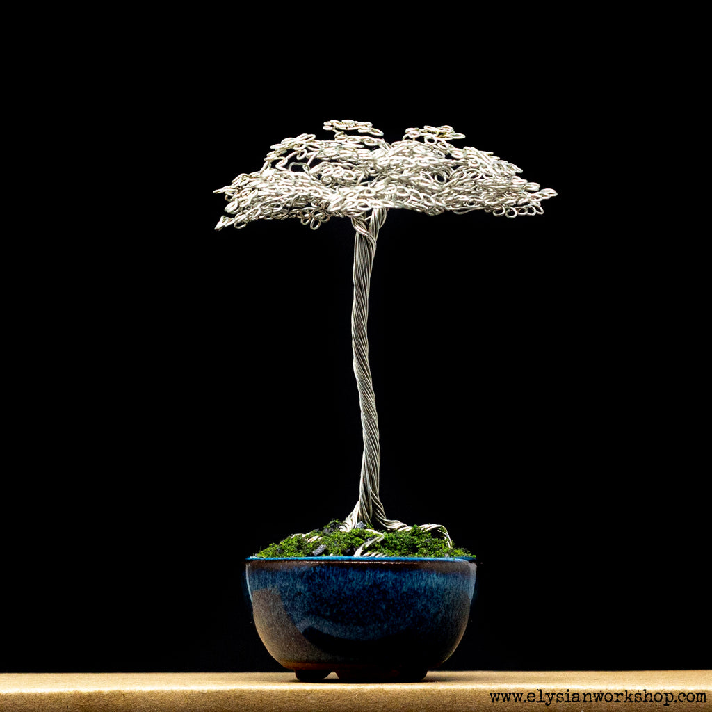 Tinned Copper Wire Tree Sculpture in a Ceramic Bonsai Pot