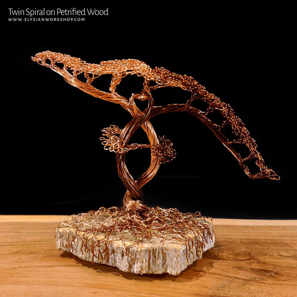 Twin Spiral Copper Wire Bonsai Tree Sculpture on Petrified Wood