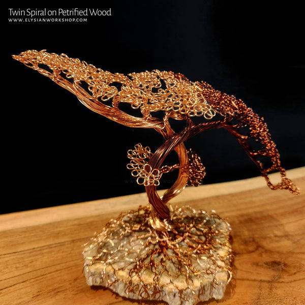 Twin Spiral Copper Wire Bonsai Tree Sculpture on Petrified Wood