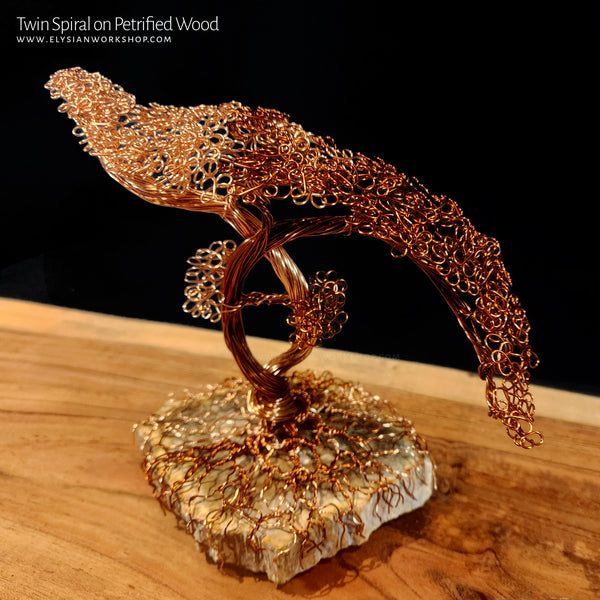 Twin Spiral Copper Wire Bonsai Tree Sculpture on Petrified Wood