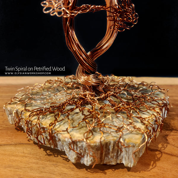 Twin Spiral Copper Wire Bonsai Tree Sculpture on Petrified Wood