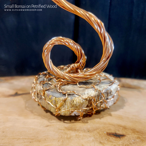 Copper Wire Bonsai Tree Sculpture on Petrified Wood Small