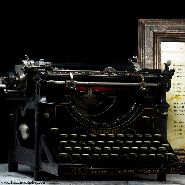 Cherry Blossom Wire Bonsai Tree Sculpture with The Road Not Taken by Robert Frost Hand Typed and Aged Page in Frame