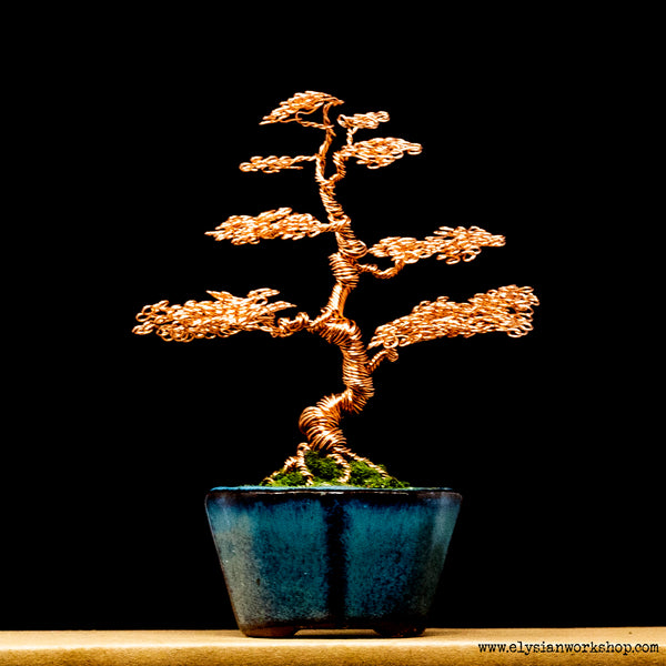 Copper Wire Bonsai in Ceramic Pot