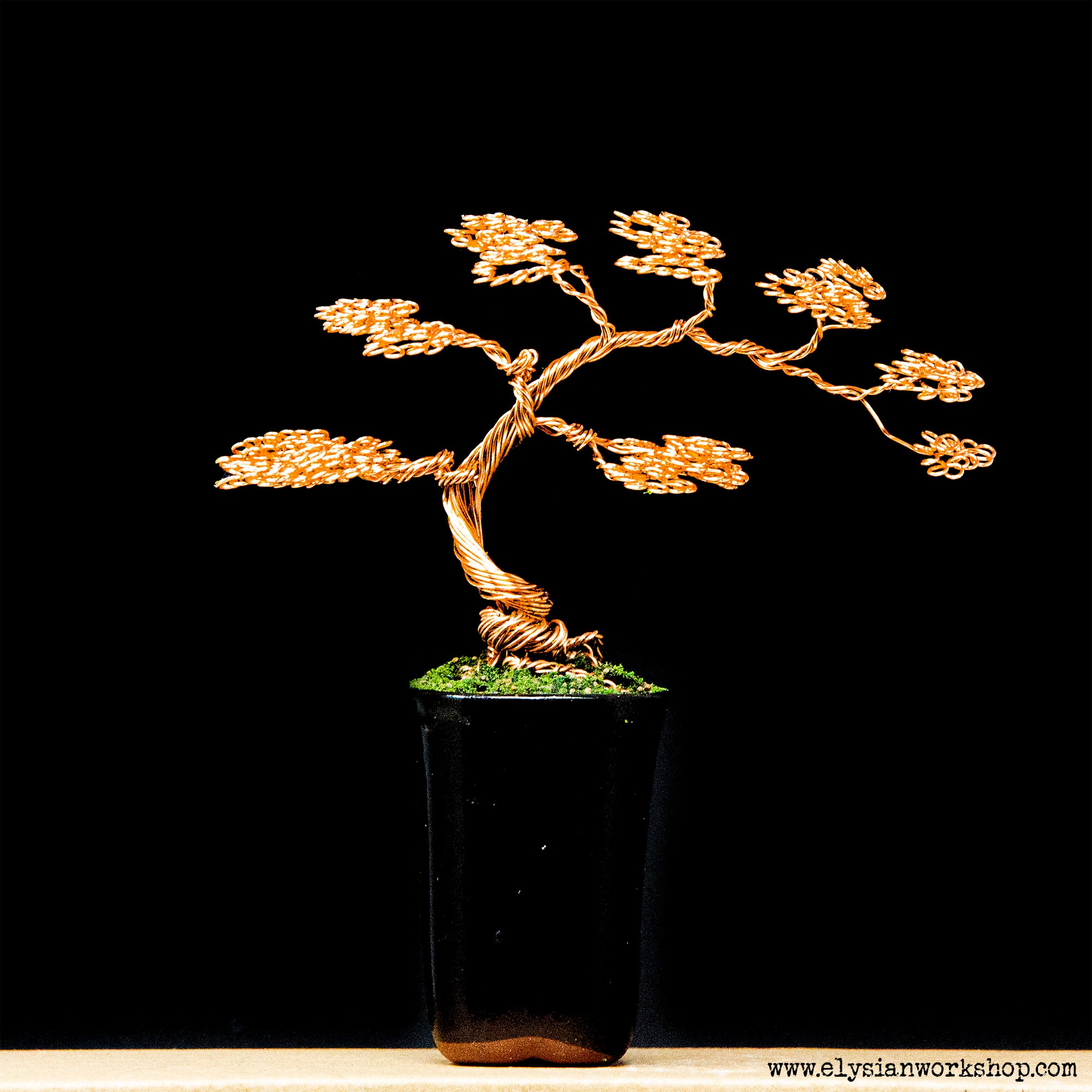 Handmade Copper Wire Bonsai Tree in Ceramic Pot