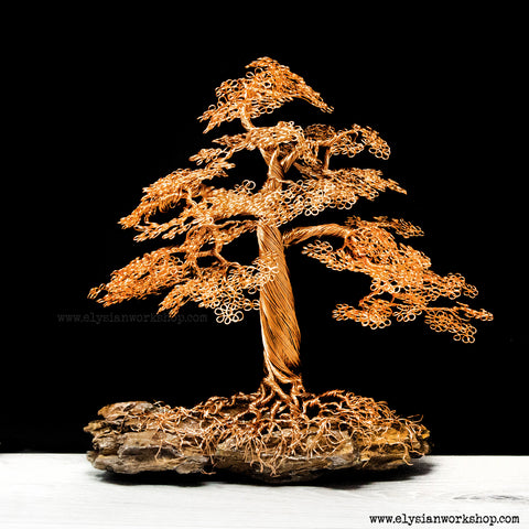 Copper Wire Bonsai Tree Sculpture on Petrified Wood Small – Elysian Workshop